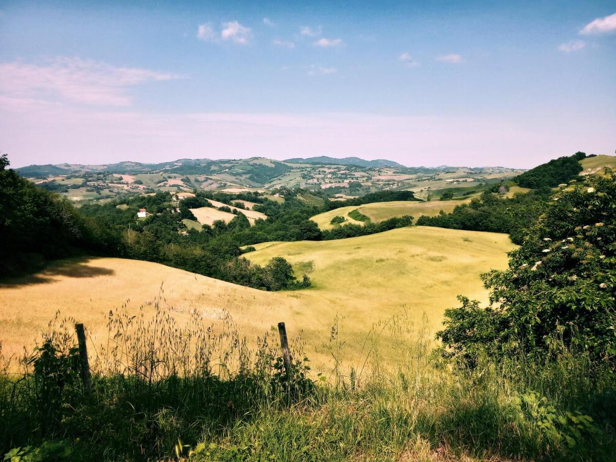 B&B Lupin View Urbino Exterior photo